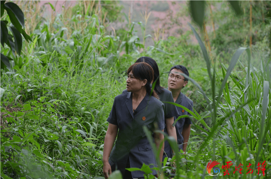 调研(受访者供图)洱源县纪委监委派驻茈碧湖镇海口村第一书记赵金华