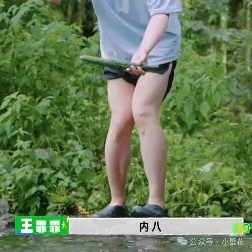 体态被破坏的底层逻辑