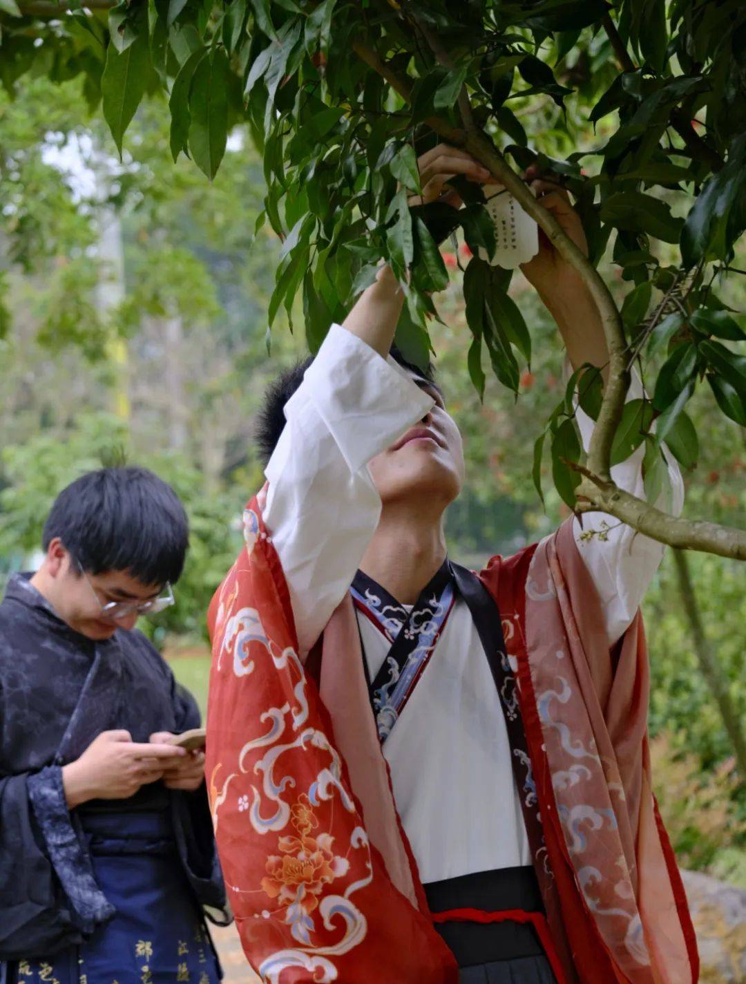 花朝节活动精彩落幕期待来年与君再赴约