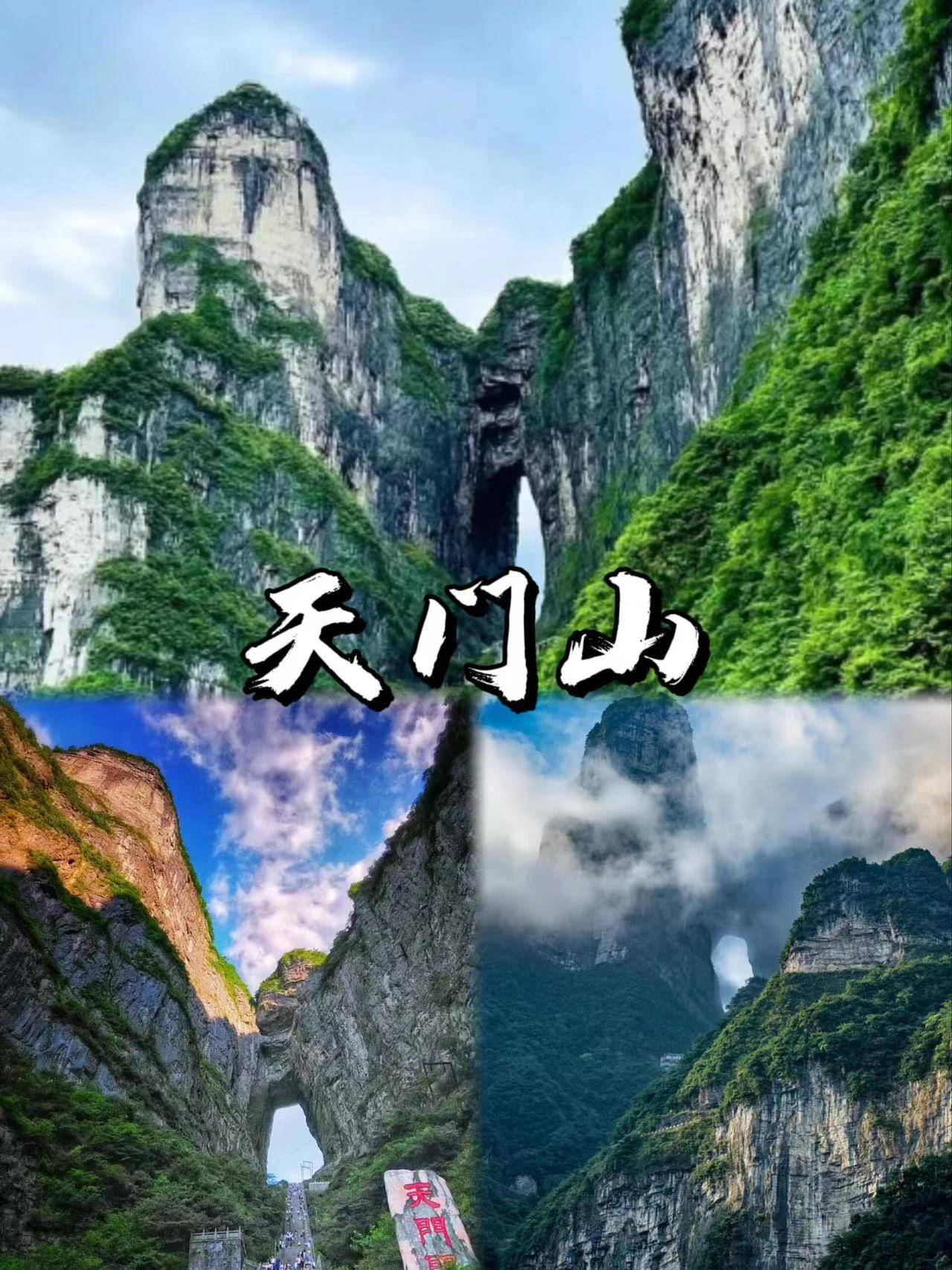 河北到张家界旅游报团价格,团费多少 ,讲真!