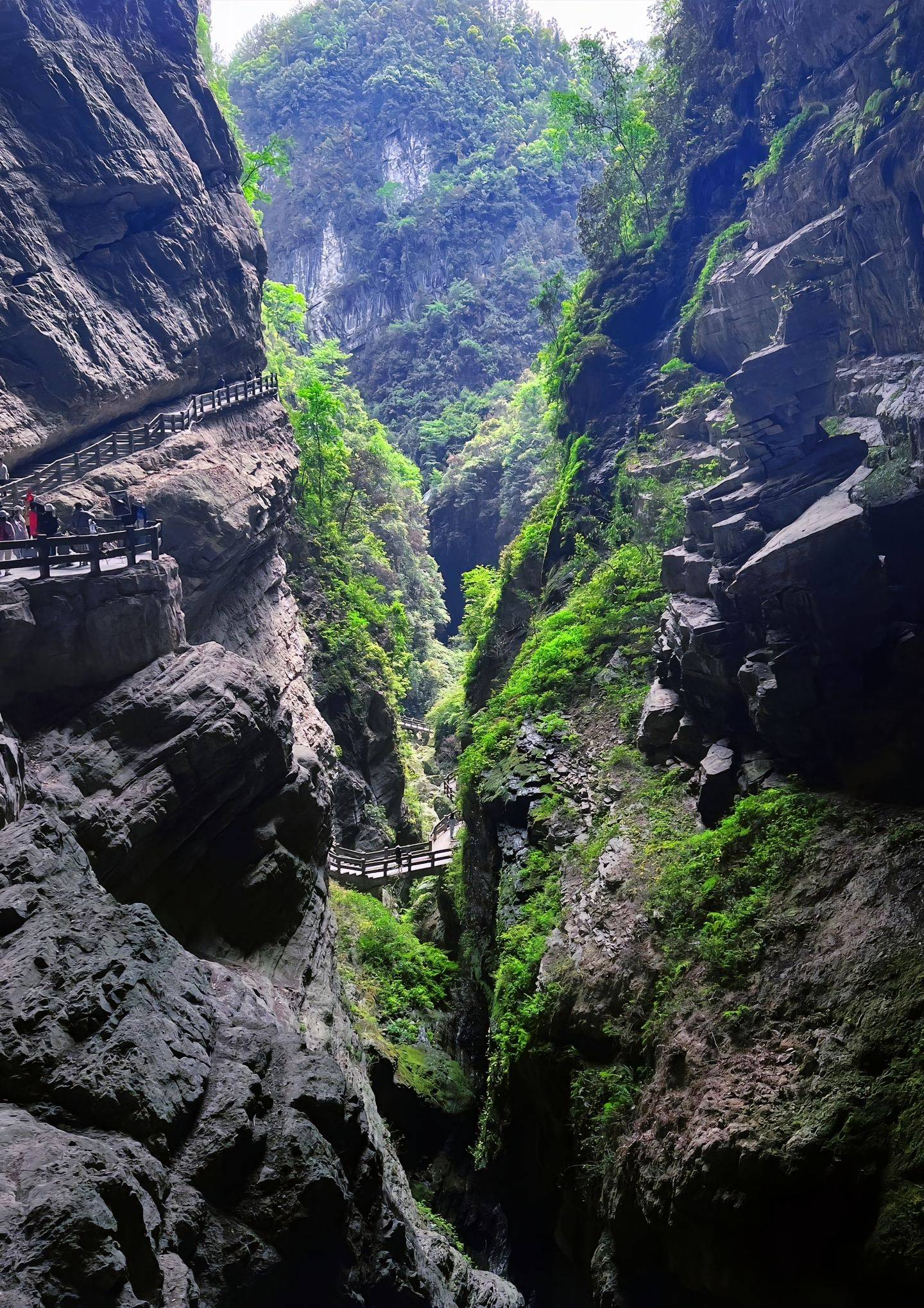 山东人在重庆旅游免门票吗多少钱 ,听听我的真实感受!