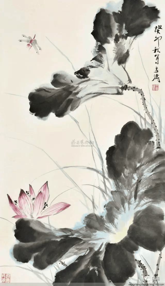 国画荷花作品介绍图片