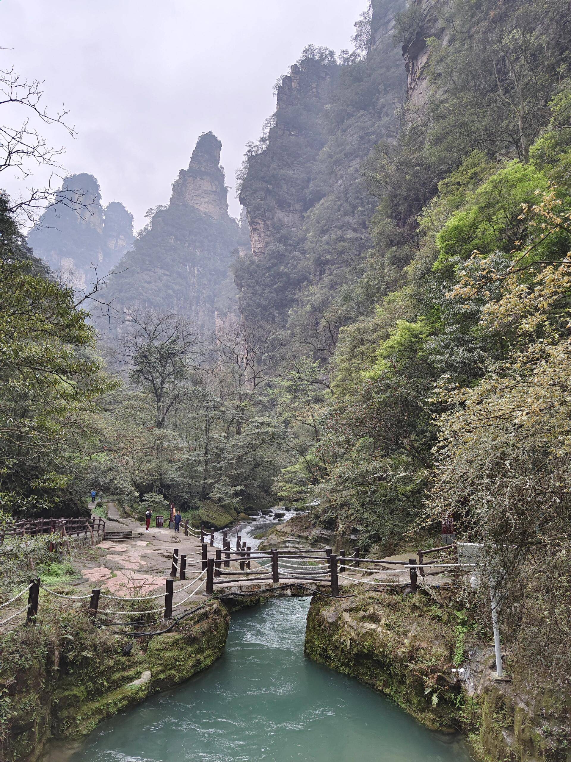 五常至张家界旅游路线,自由行攻略 ,该踩得坑全踩了(个人建议 行程