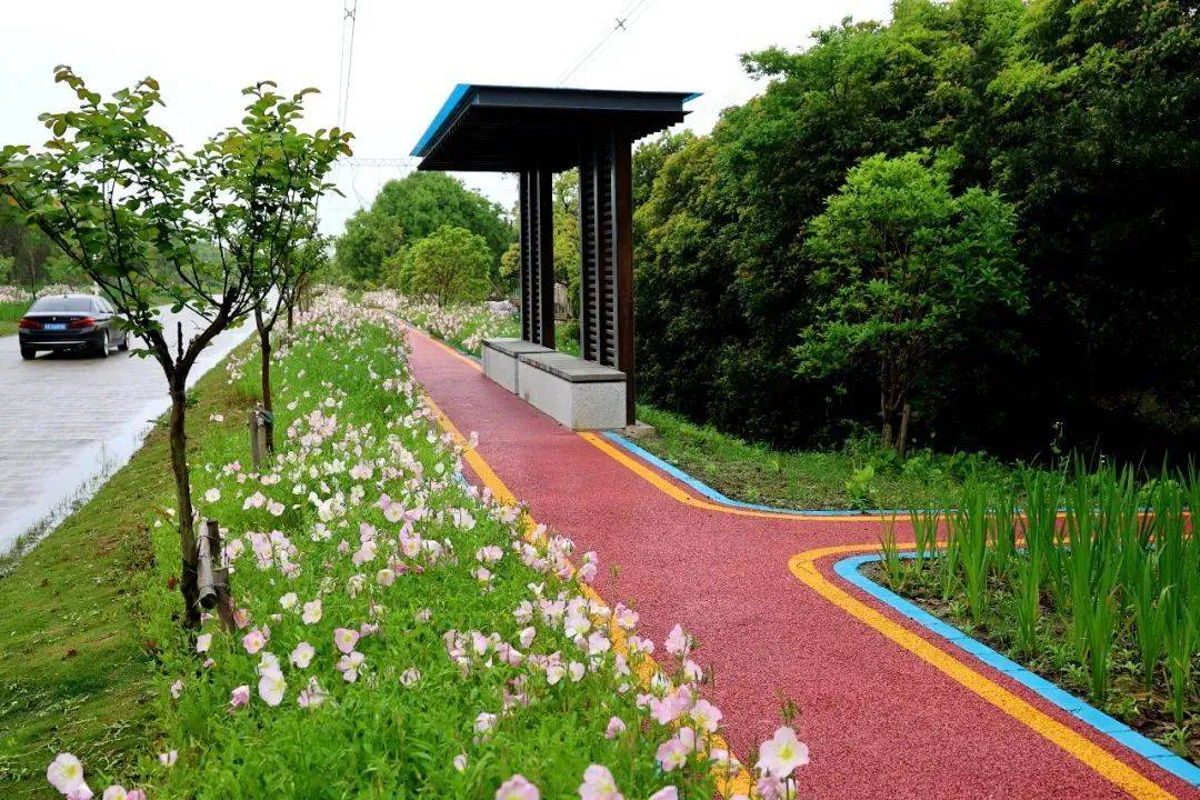 闵行这条河畔绿道焕然一新,漫步享受花香扑鼻的初夏时光!