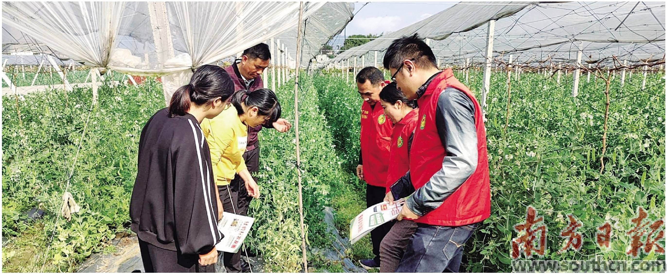 为"百千万工程"和乡村全面振兴添动力