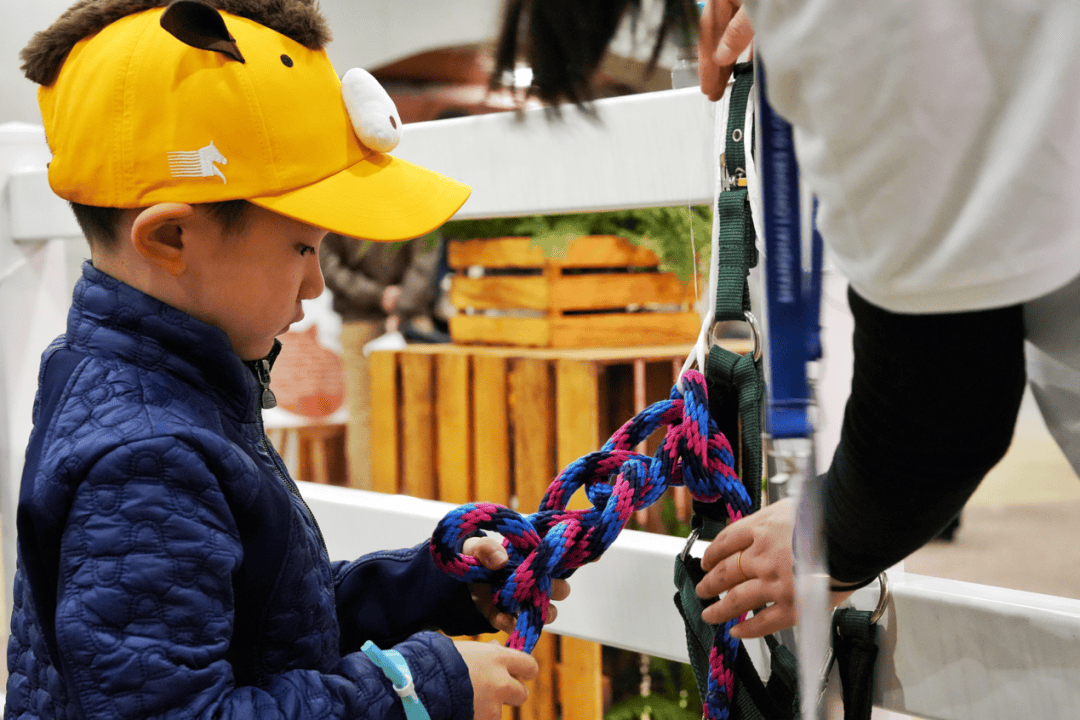 共襄上海之跃!"华天·人马一心"人气呈现马术文化亲子体验