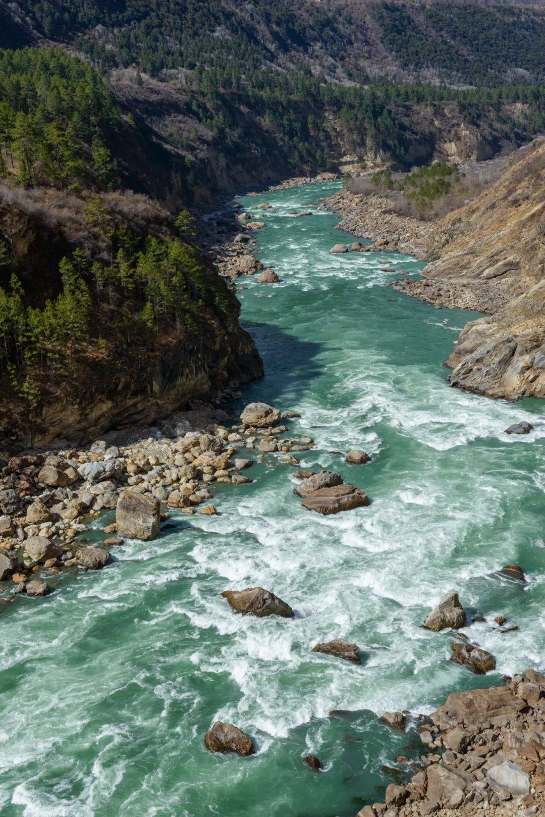 赞雅鲁藏布江大峡谷图片
