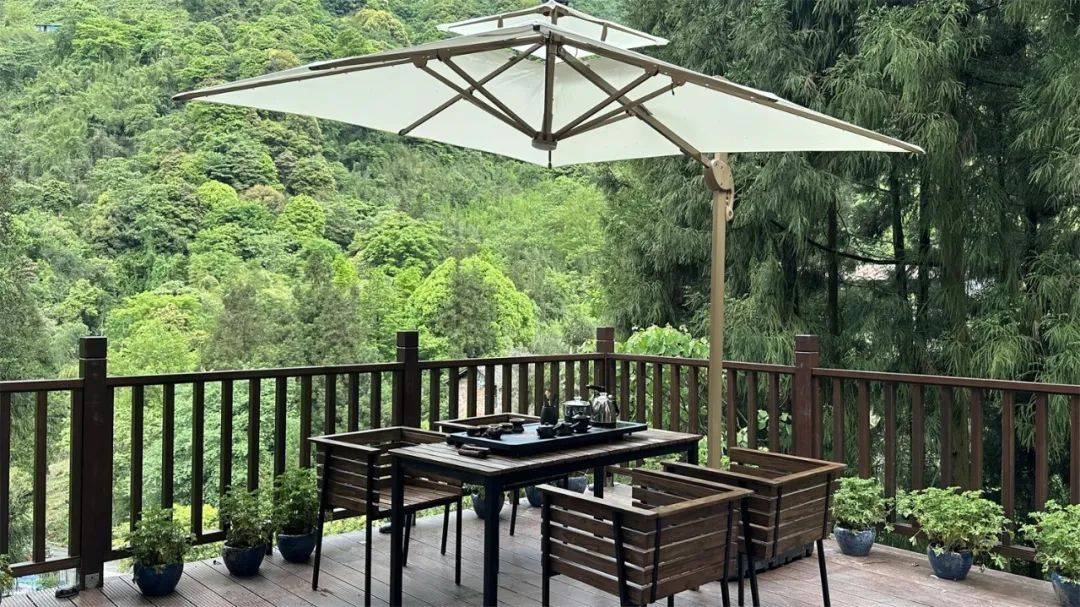 在山林间相遇 这座隐匿在森林氧吧中的民宿正式开业