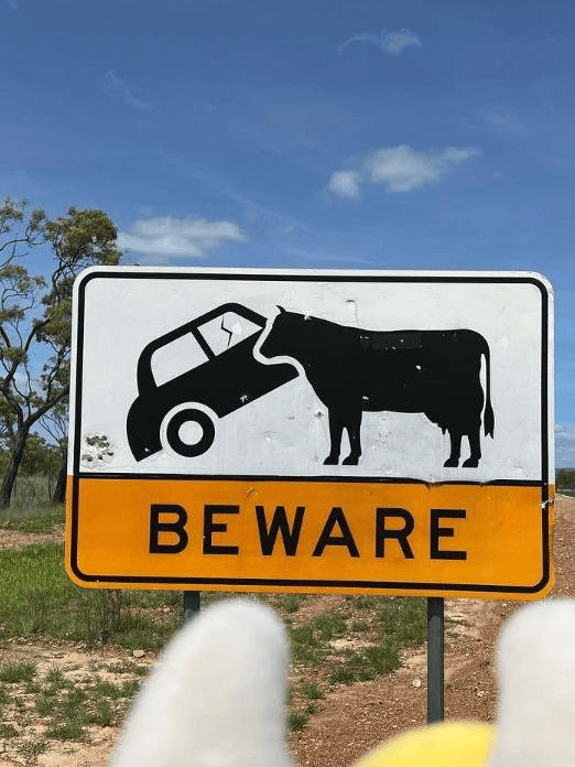 因为澳洲的动物特别多,所以还有很多有关动物的搞笑路标.