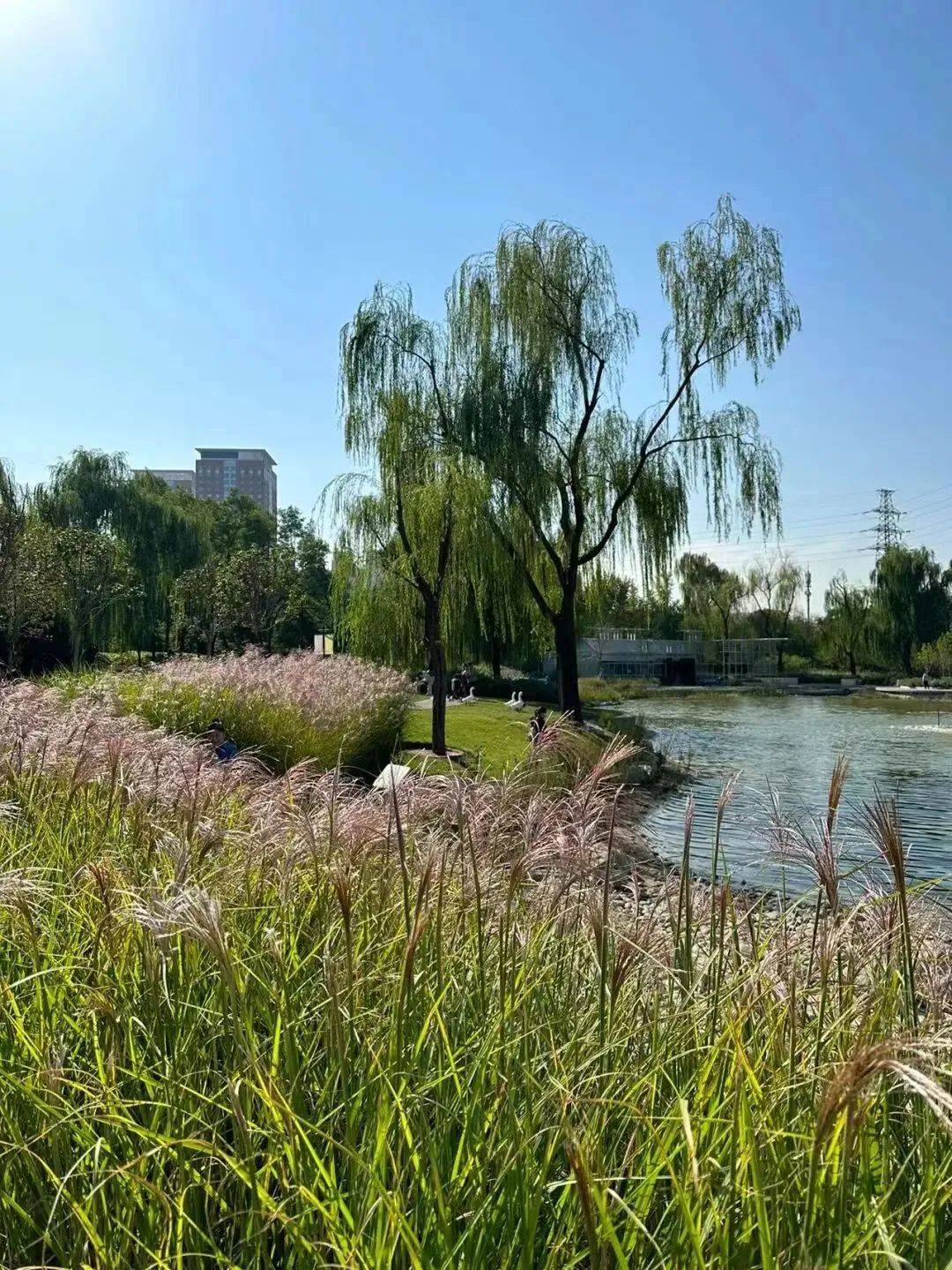 在咱们朝阳,「公园20分钟理论」是真的