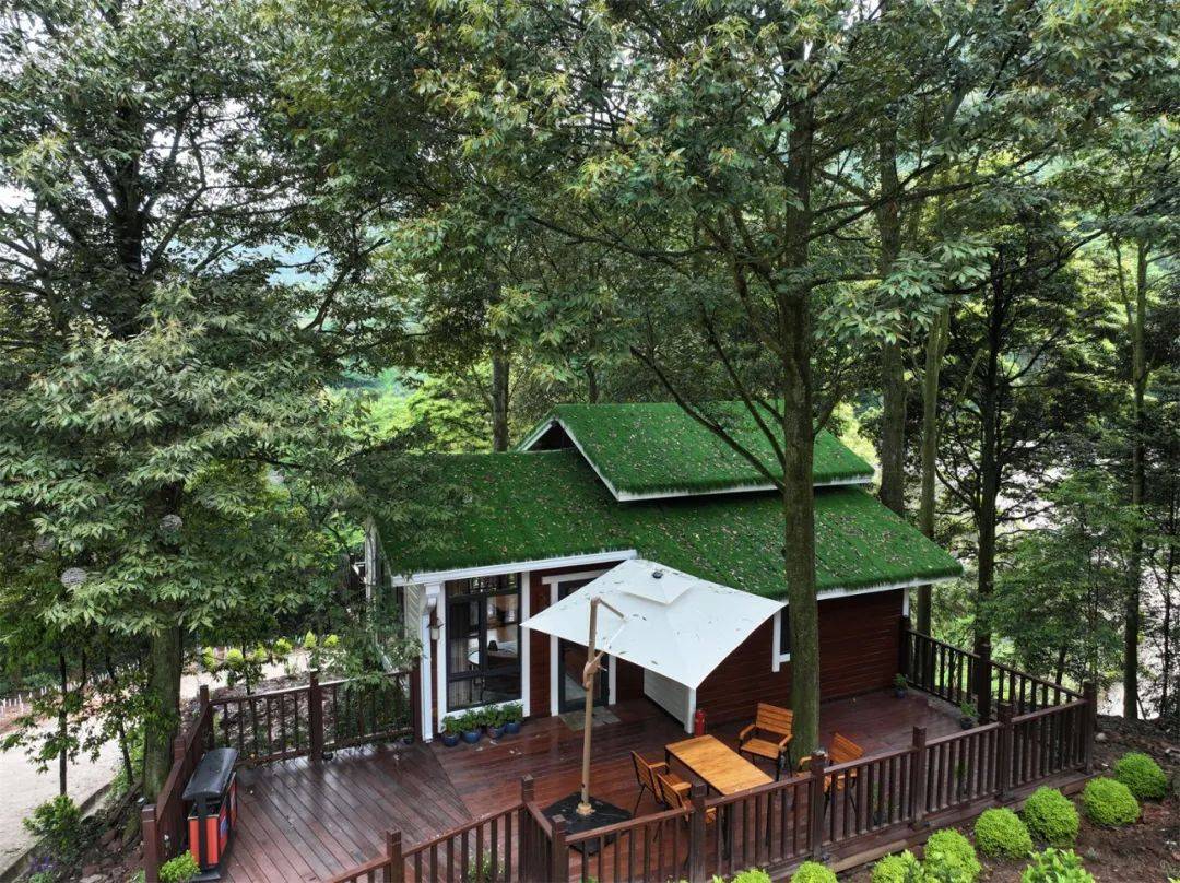 在山林间相遇 这座隐匿在森林氧吧中的民宿正式开业