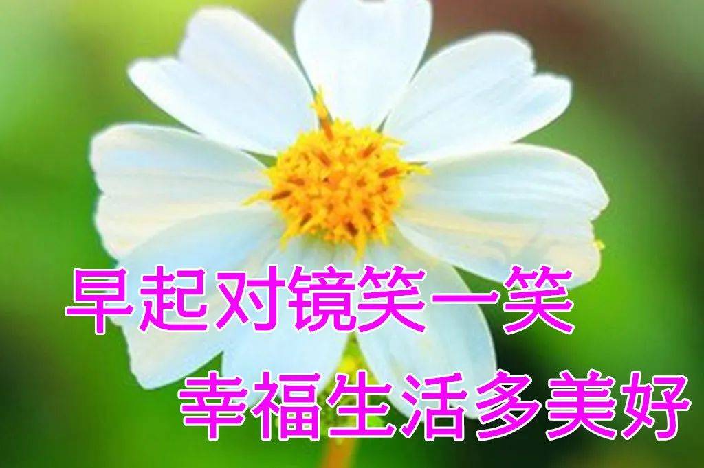 675月11日最漂亮早上好动态表情图片及动图美图大全,摄人魂魄的动态