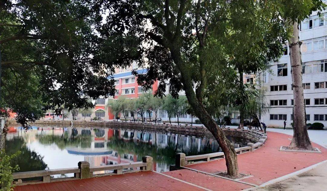 半月池四育楼三好楼群英楼上世纪80年代的二中校门2019年,漳州二中多