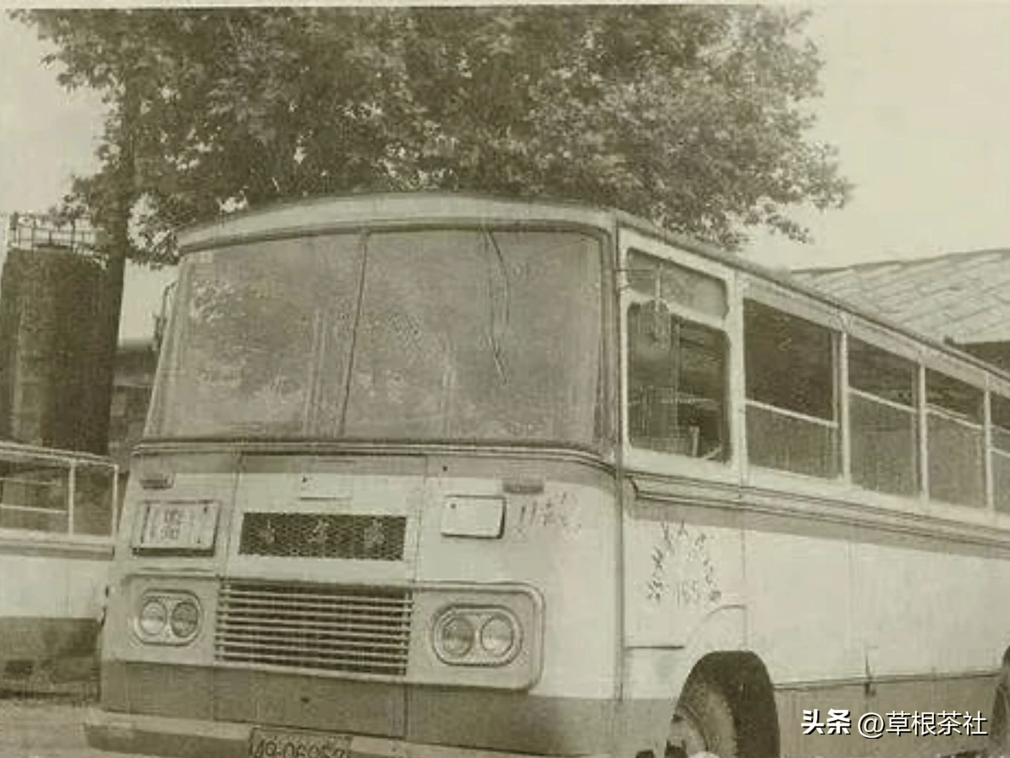 知青往事:下乡插队她嫁给当地农民,看看她现在的生活真令人羡慕