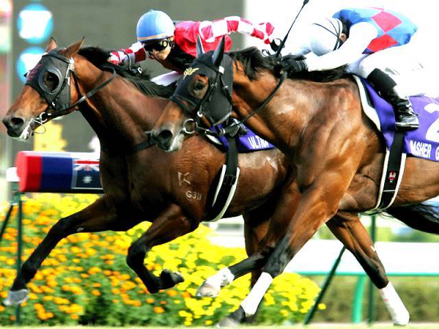 去香港沙田睇跑马!