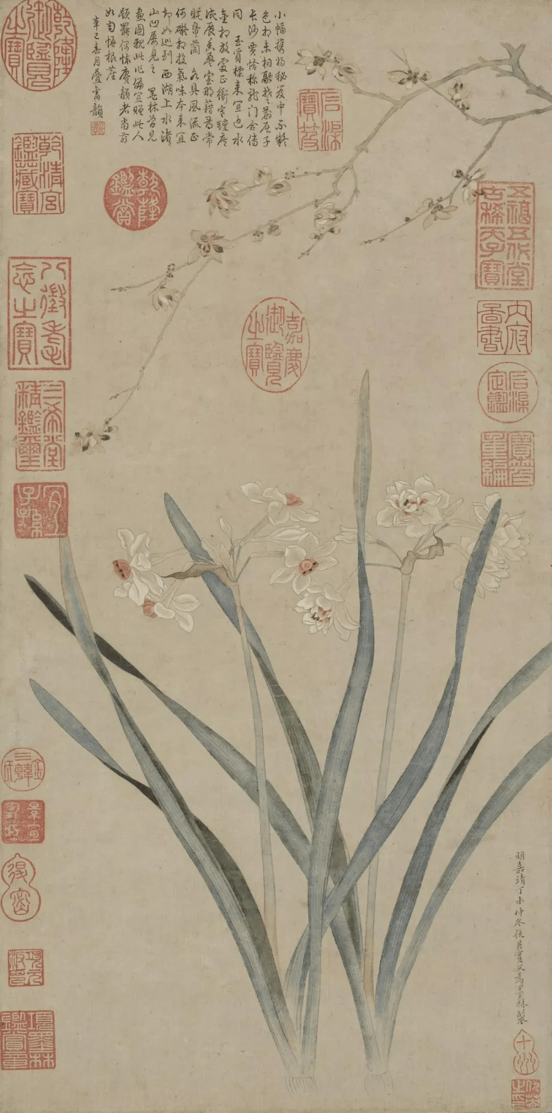 历代名家画水仙!_佚名_种植_黄庭坚