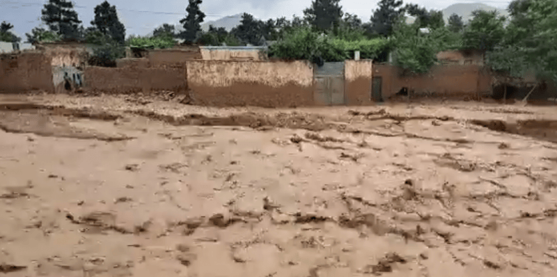 阿富汗北部巴格兰省洪灾已致超百人死亡