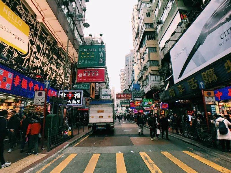 去香港沙田睇跑马!