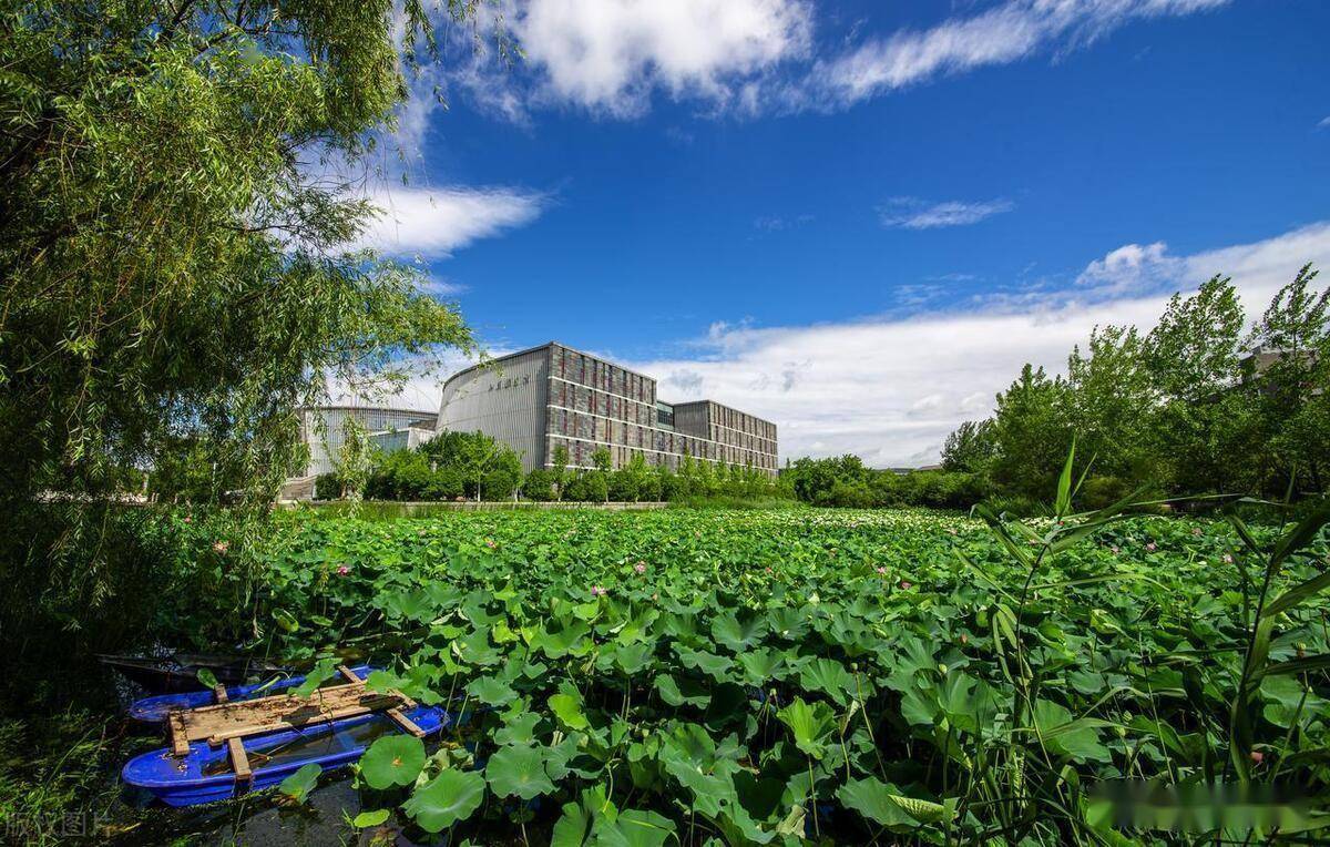 读了专科等于有"前科",上了这六所还真不比本科生差到哪里去