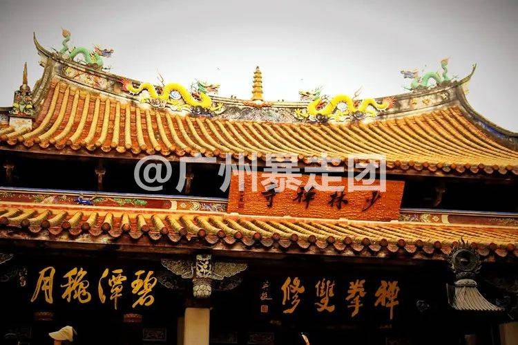 17-19号成行【闽·遇见泉州3日】世遗之城 开元寺 海上佛国洛伽寺