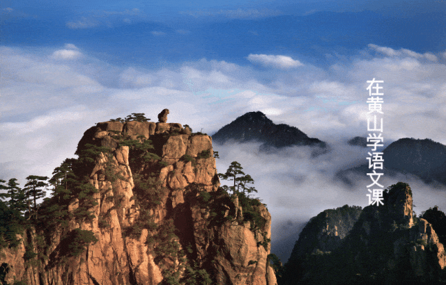 活动_猴子_黄山旅游