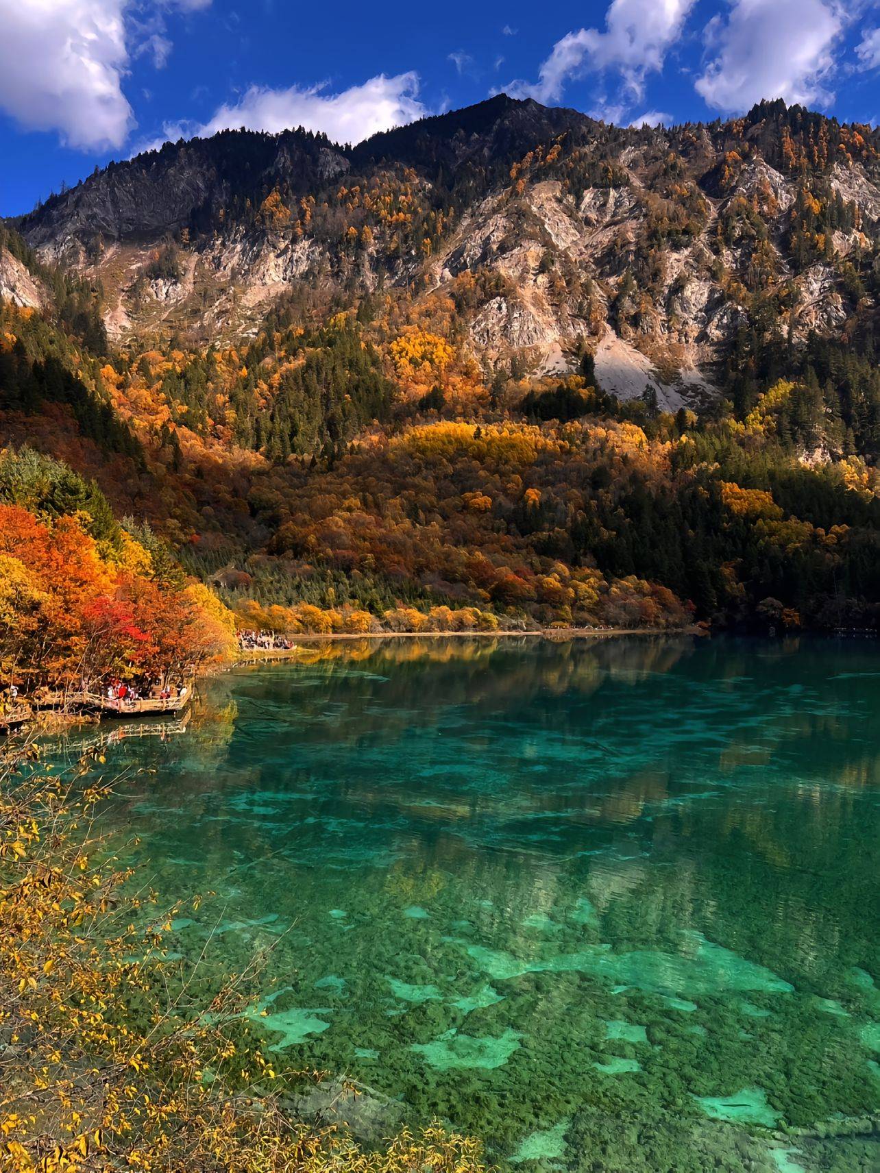 莱芜到成都旅游团价格,费用多少 ,精华路线攻略