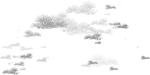 【岭南诗社】诗词赏析03