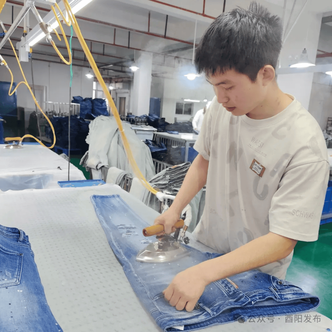 看酉阳如何打造"三个百亿"产业,为高质量发展聚势赋能