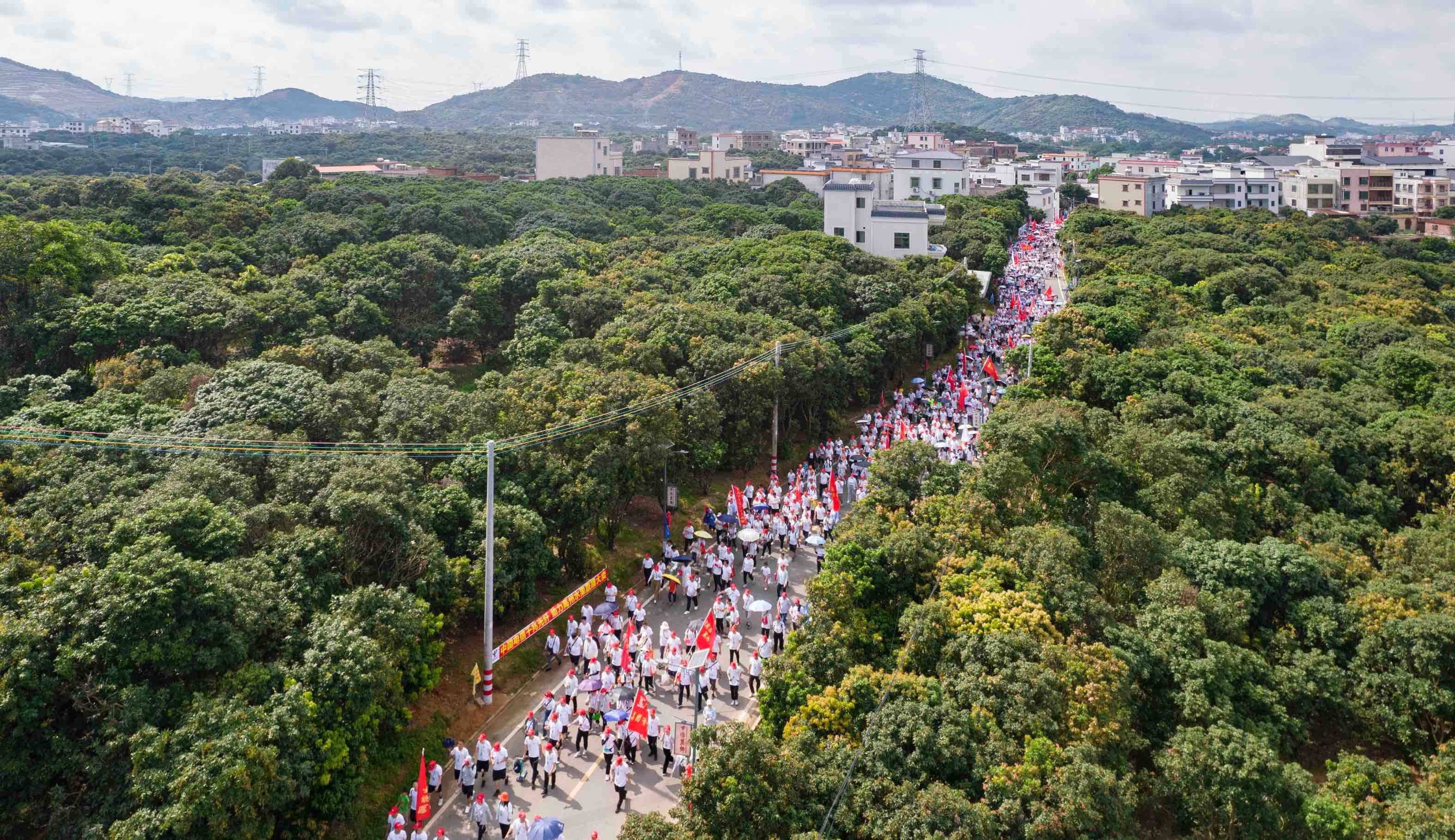 茂名高州:7000人徒步"千年荔乡" 共赏"甜美果海"