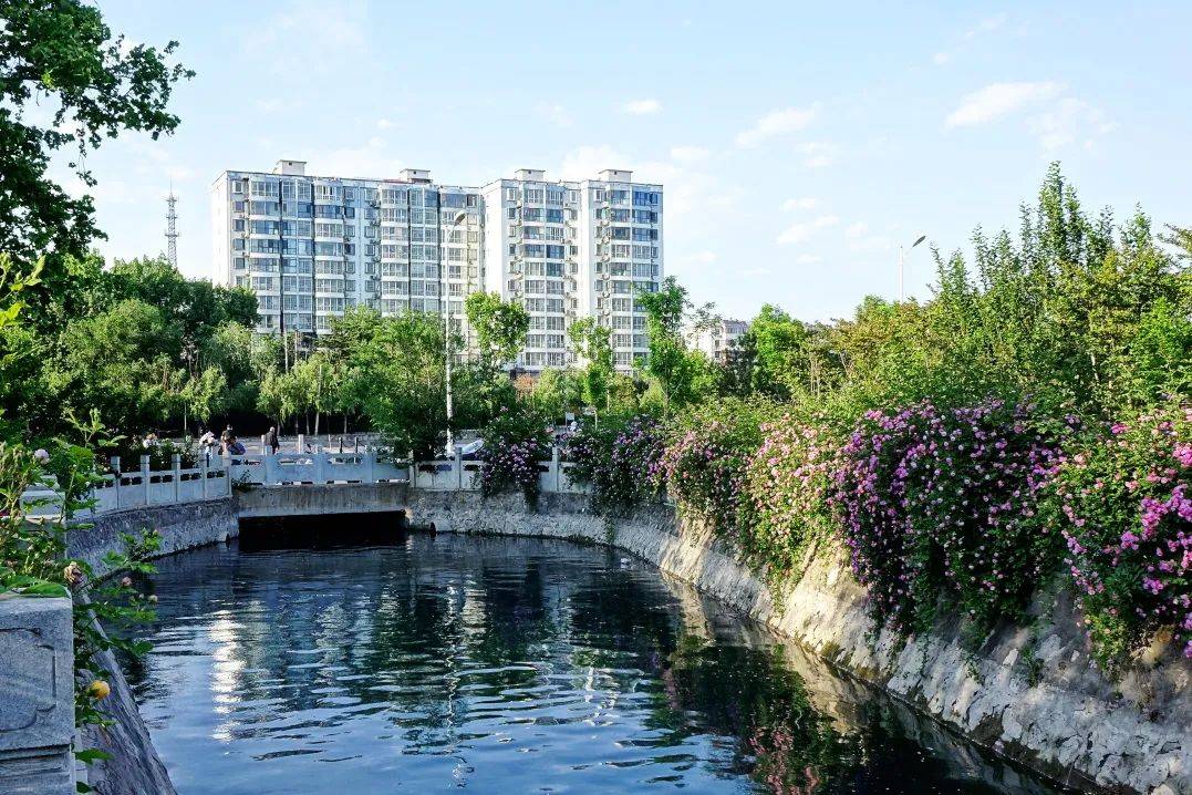 峰峰这个单位上榜!全市唯一