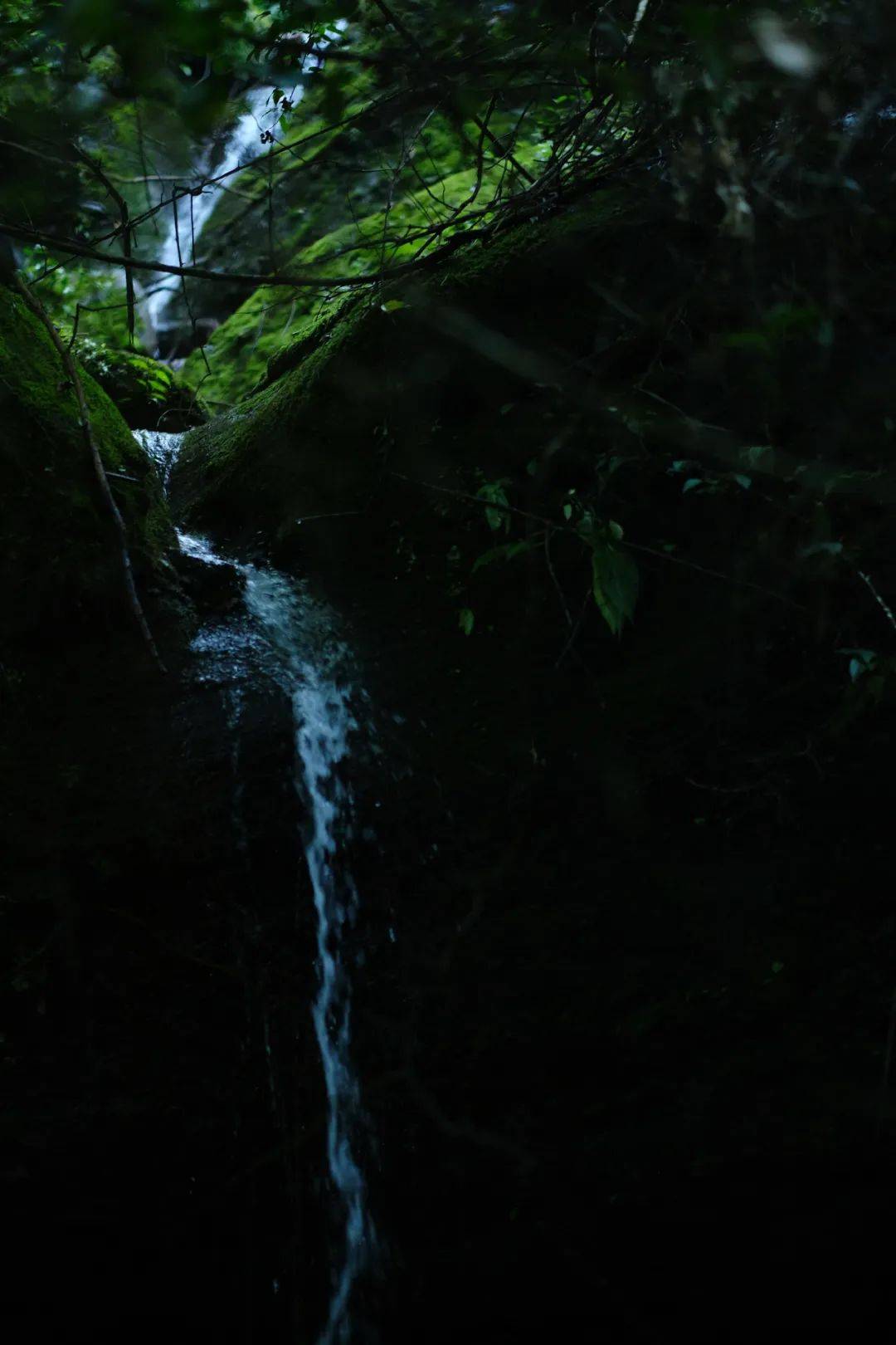 《小窗幽记》圖丨芥子工房细雨疏风,小庭徘徊,有燕归巢,飘花满怀