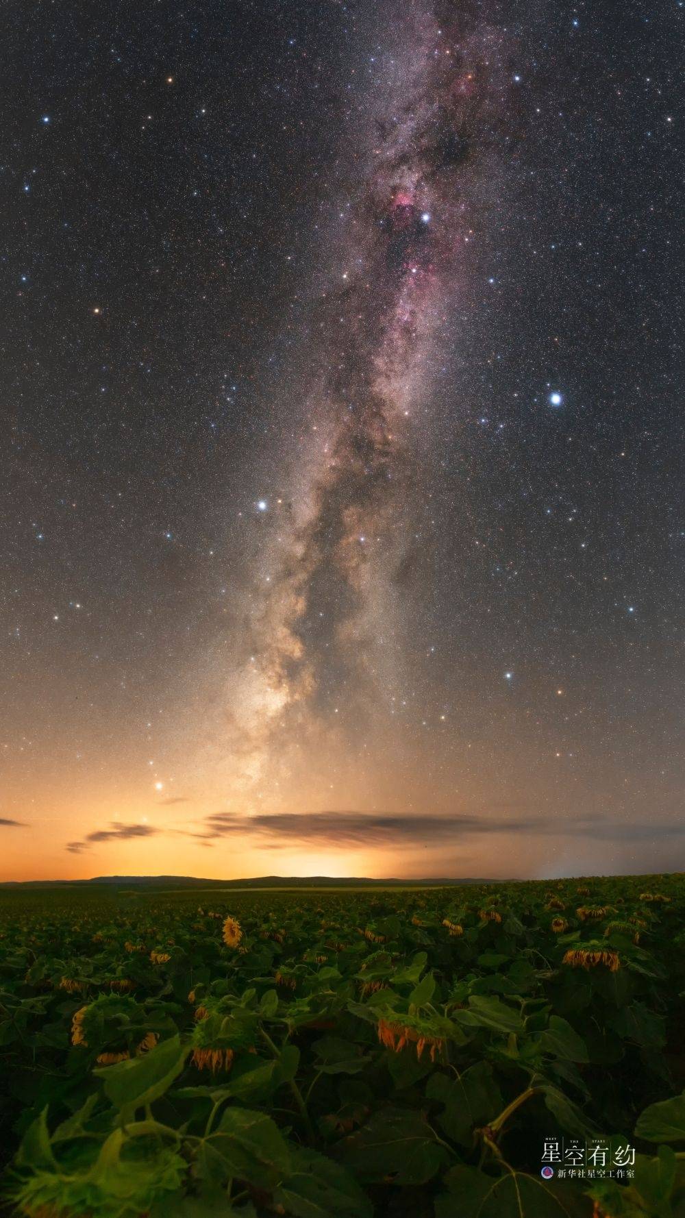 赏拍星空好时节来了!"夏季大三角"上线