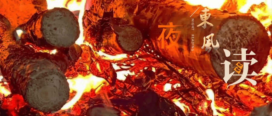 【夜读 · 散文】拾柴火(上)_树叶_父亲_烧锅