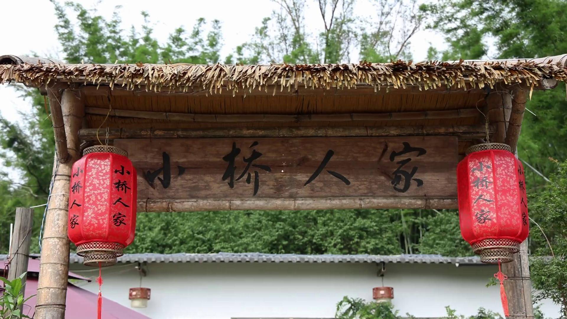 一位从化乡村姑娘的"创业梦":扎根吕田,让好事"花生"_吴小丽_视频