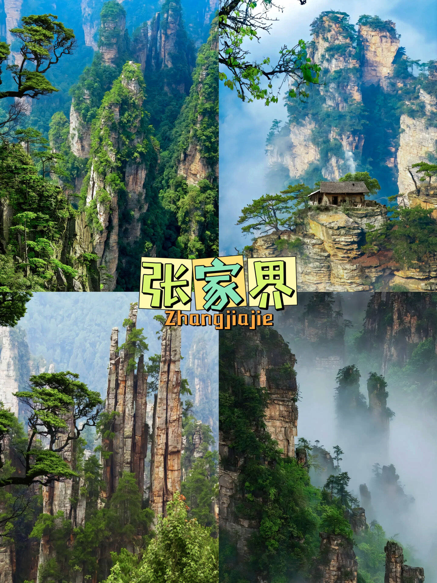 承德到张家界旅游攻略,需要多少钱 ,假期想去旅游的存下吧