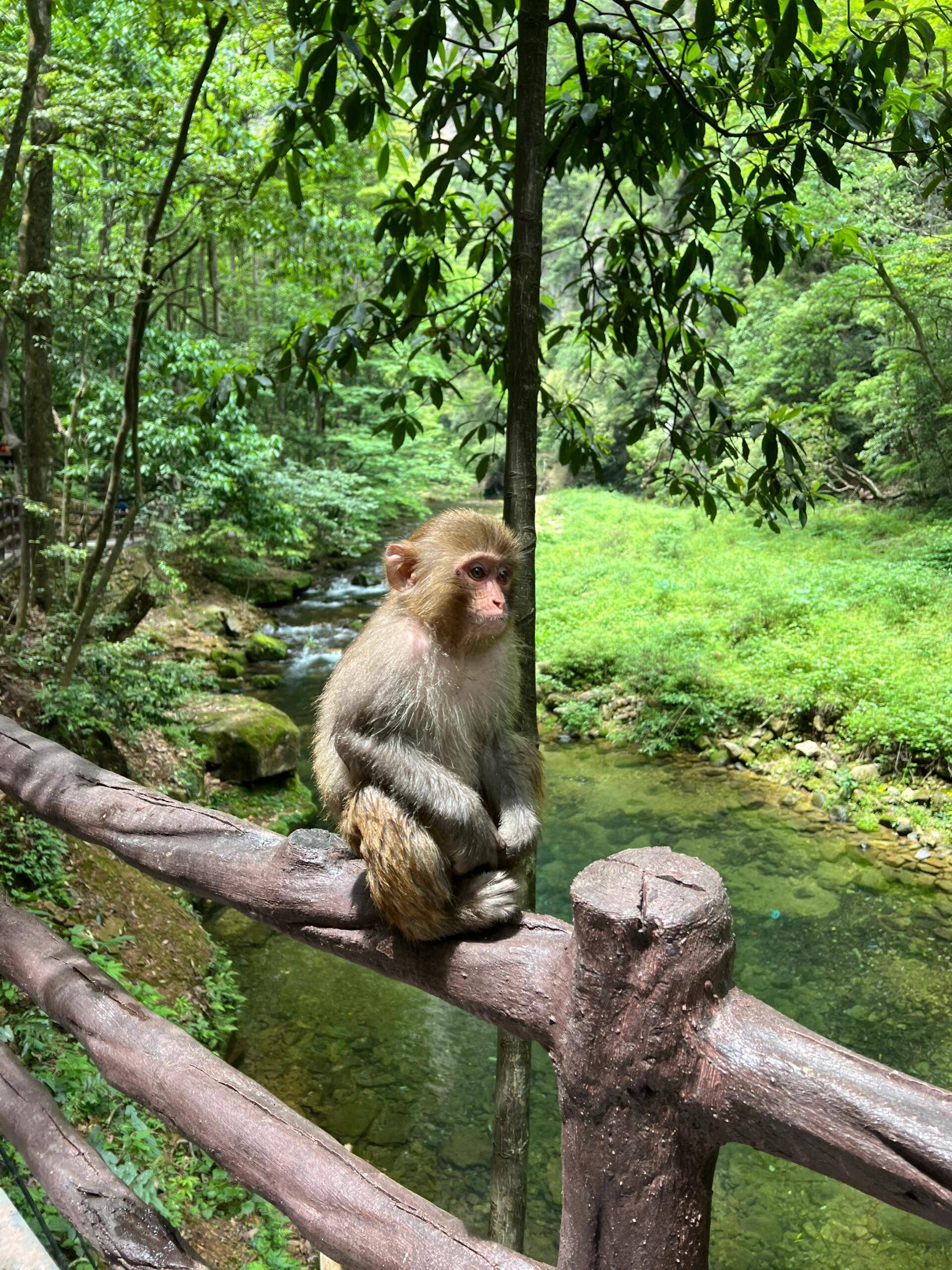阳泉到张家界旅游路线,自由行攻略 ,带你省钱,省事,轻松游,千万不要来