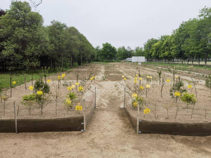 西安"防水沙"和"保水剂"参与全球荒漠化治理_沙漠_沙子_王翔