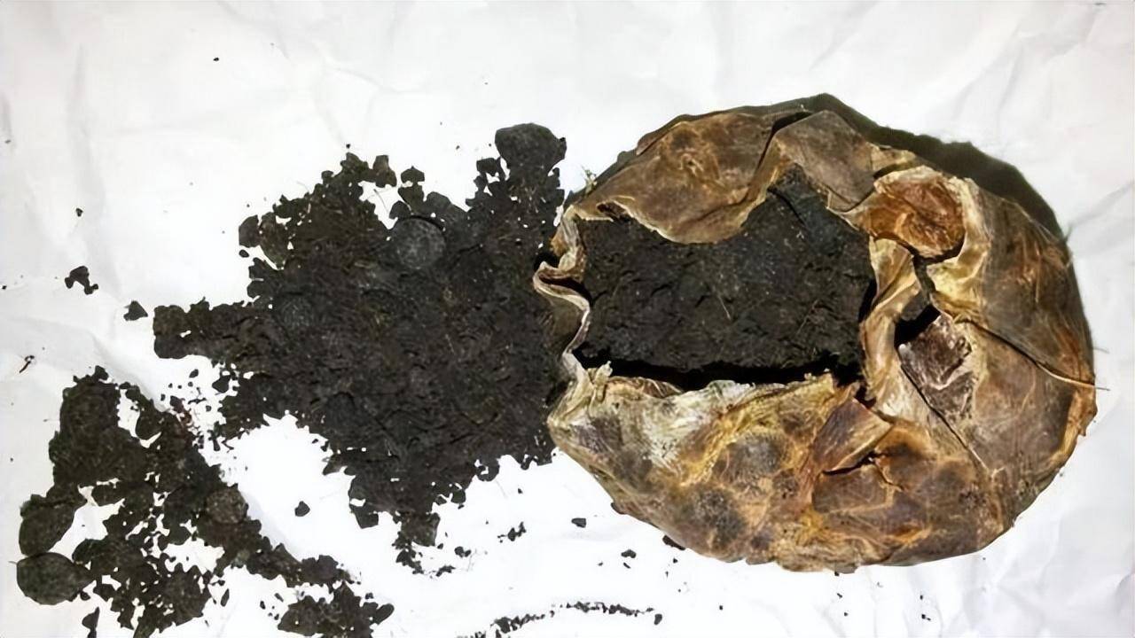 最香动物原麝,为躲避追捕会咬破香囊自杀?