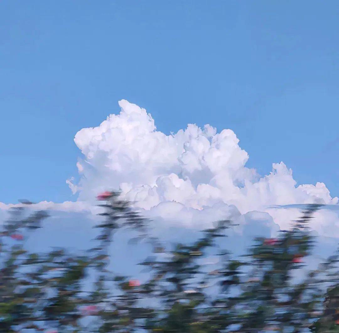 背景图|今日份心动背景图