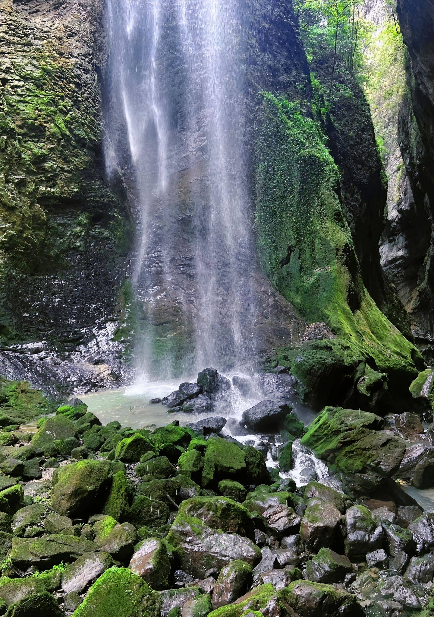 浏阳到重庆旅游报团价格,团费多少 ,分享我的真实感受