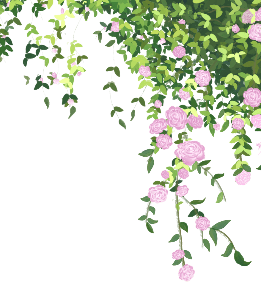 海湾镇|蔷薇花盛开,这片花墙你来打卡了吗?