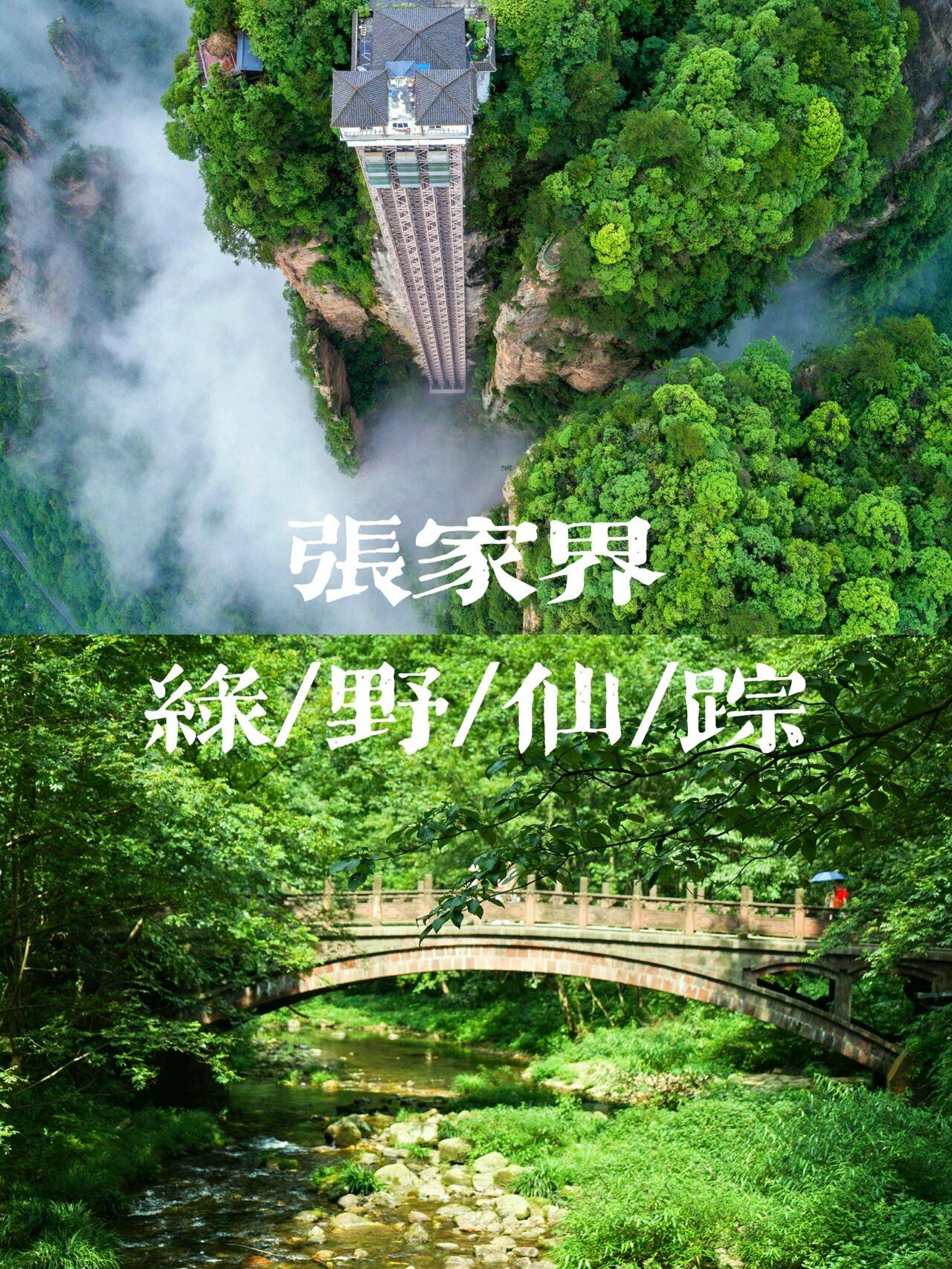 交通费用住宿费用餐饮费用门票及景点费用其他费用本溪至张家界旅游