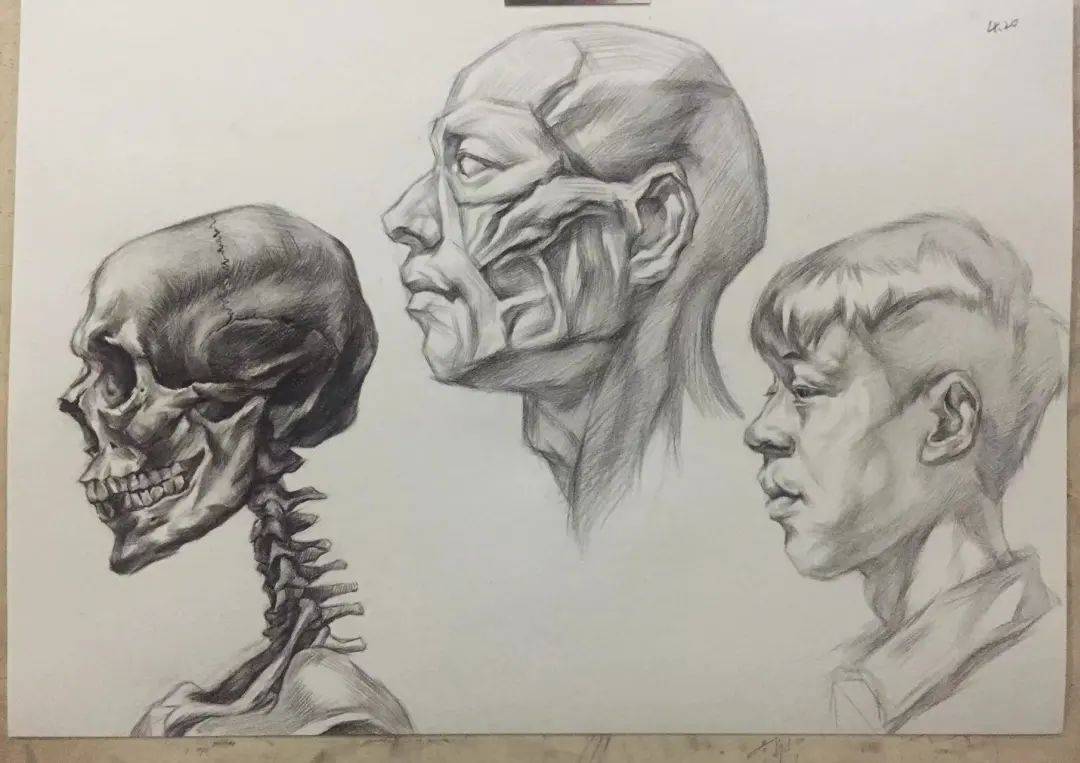 注:杨钰欣的素描作品左右滑动,查看更多11.