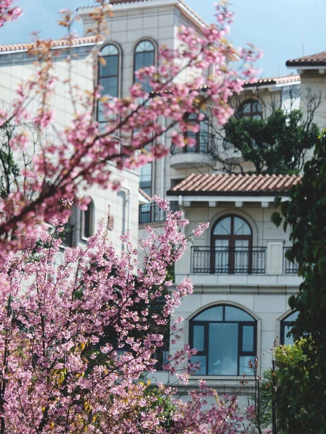 玉溪_坐标_地方