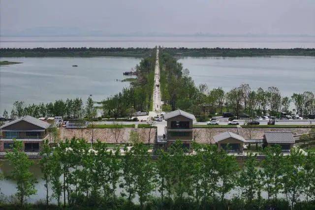 杭州超大湿地来了!能看绝美日出