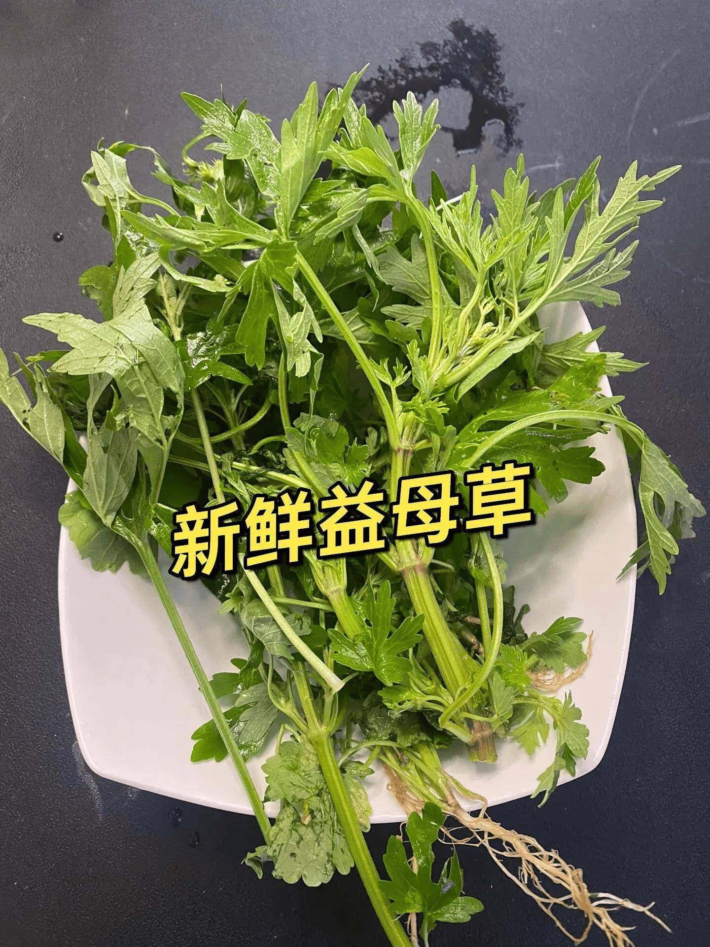 豆苗_鸡汤_益母草