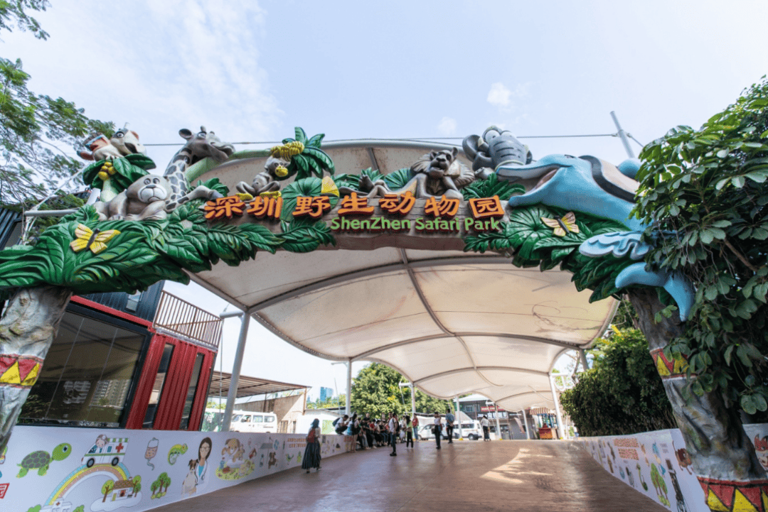 在深圳过生日有这些福利!_入口_优惠券_动物园
