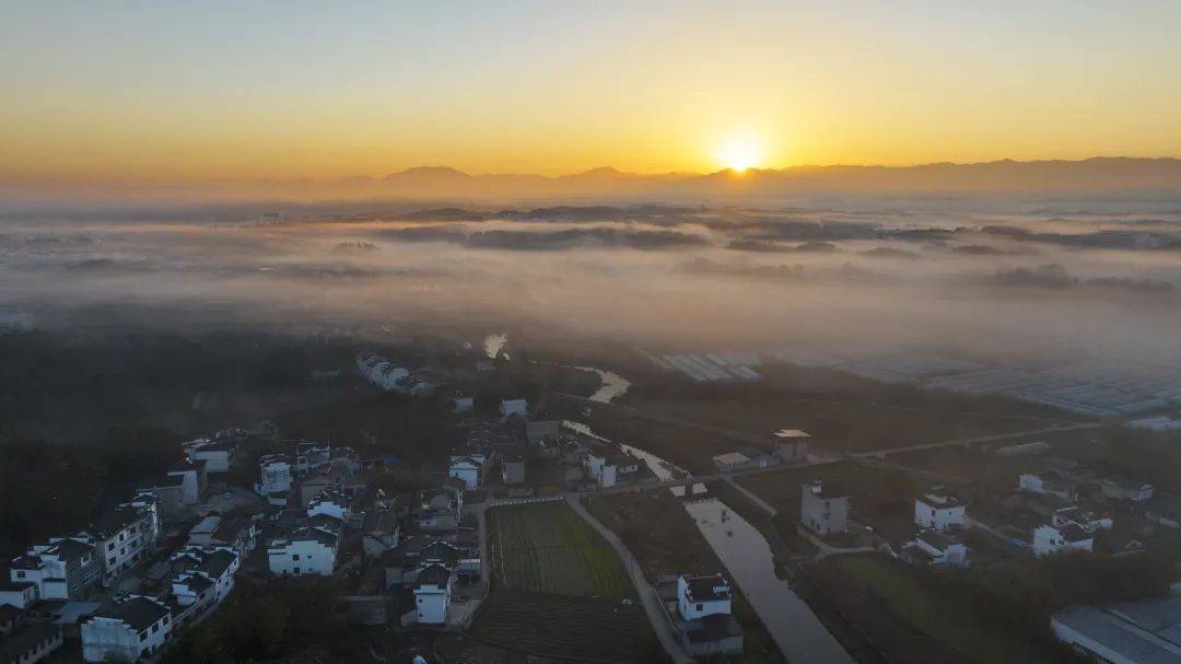 【乡村运营】屯溪区奕棋镇:笃行实干绘新景 谱写农业农村高质量发展新