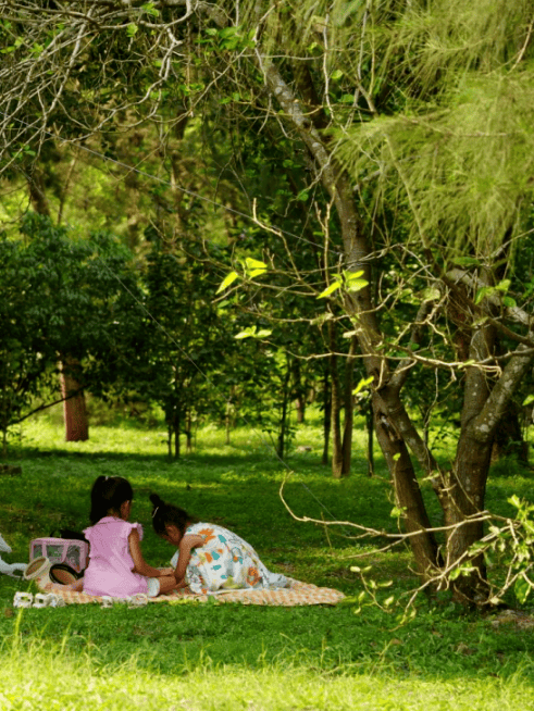 颜值高还好逛!原来南宁的初夏,还可以这么"野"