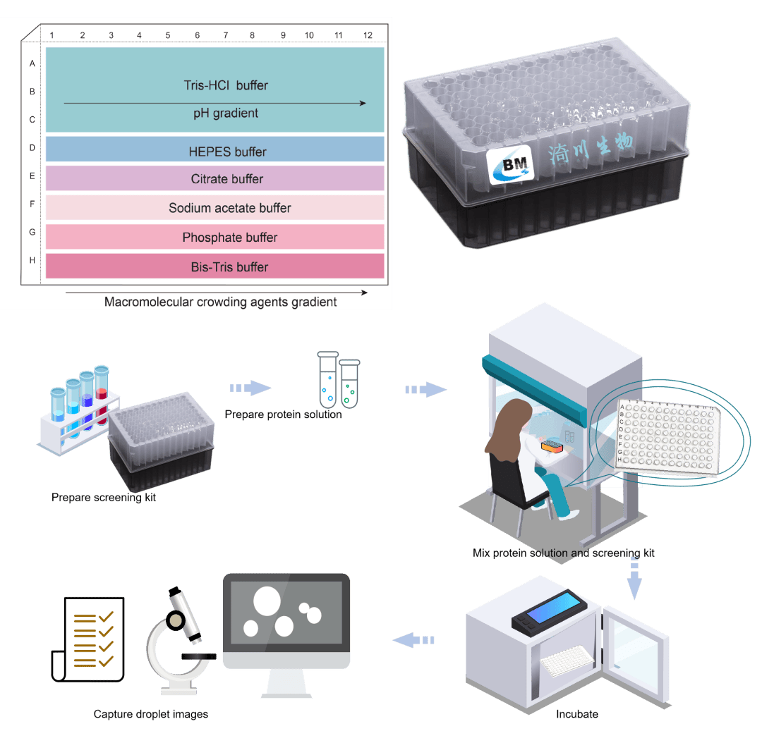 快投出你心中的大咖